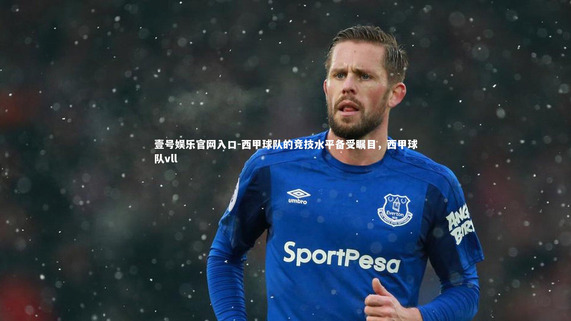 西甲球队的竞技水平备受瞩目,西甲球队vll