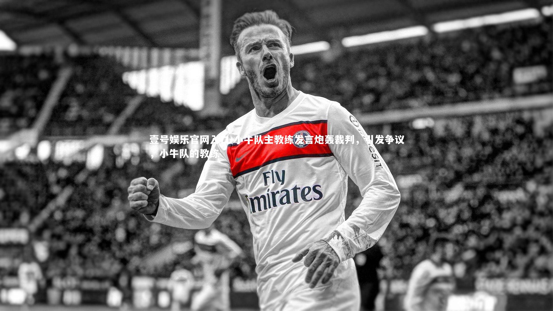 小牛队主教练发言炮轰裁判，引发争议，小牛队的教练