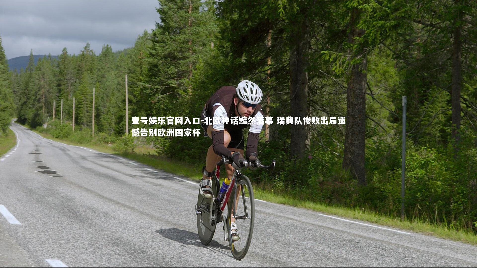 北欧神话黯然落幕 瑞典队惨败出局遗憾告别欧洲国家杯