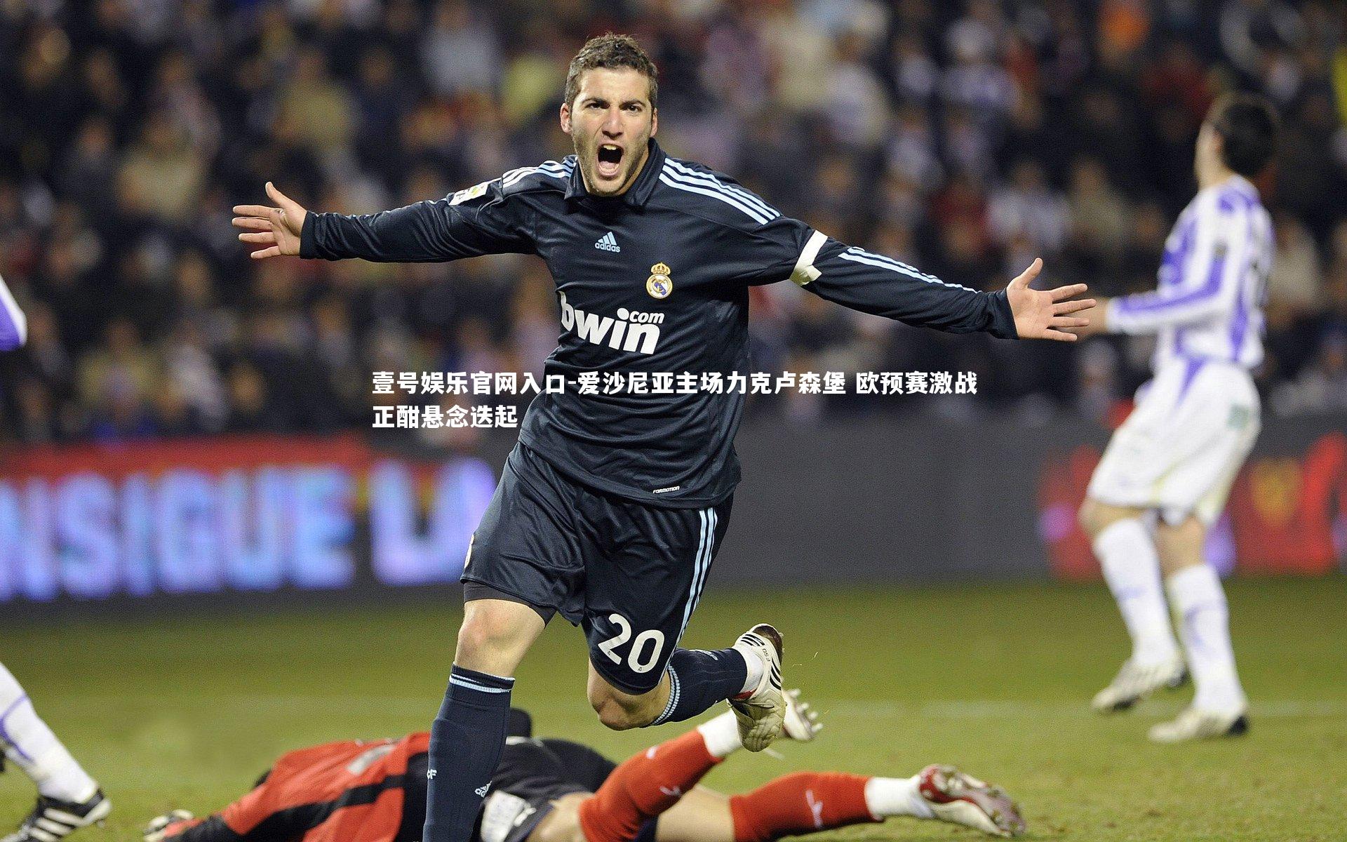 壹号娱乐官网入口-爱沙尼亚主场力克卢森堡 欧预赛激战正酣悬念迭起